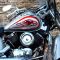 vinilos para motos custom